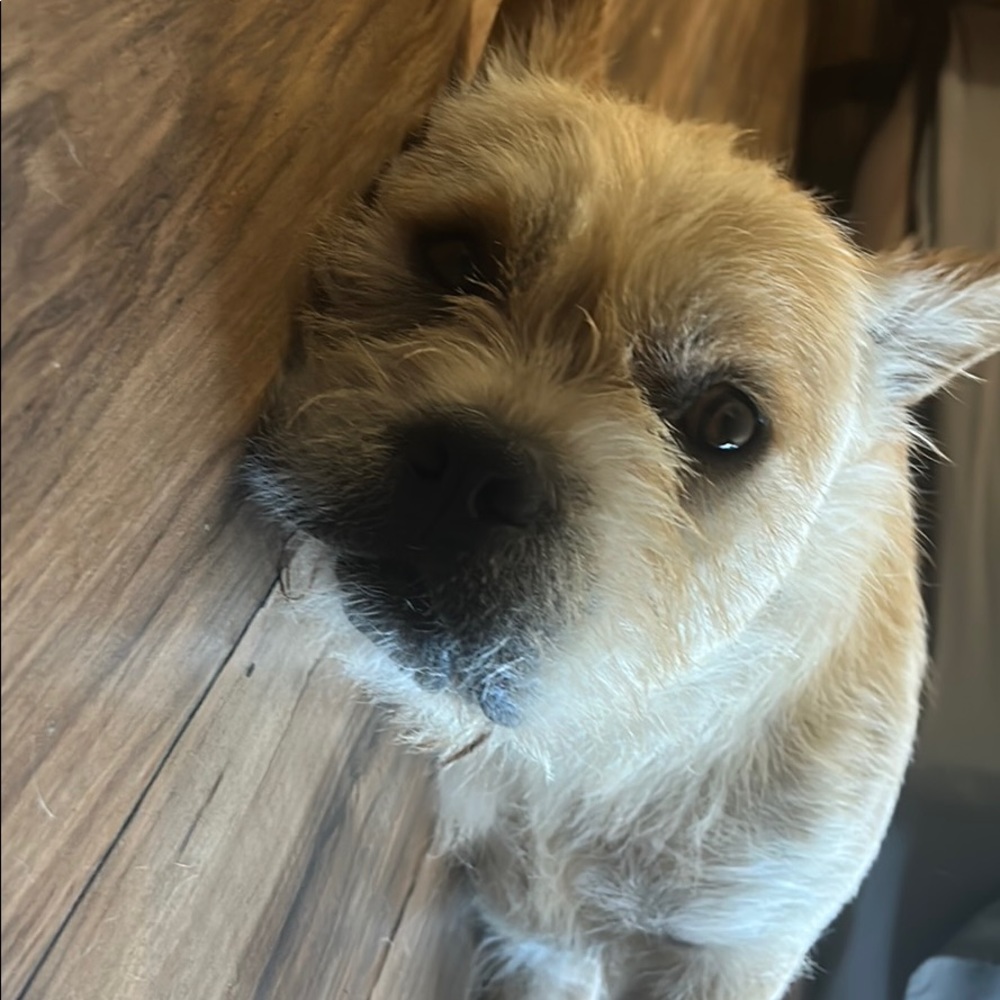 Meet your Posher, Randy